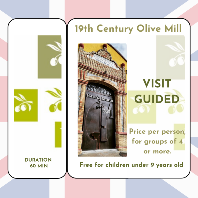 Visit Guided (Price per person, for groups of 4 or more.)
