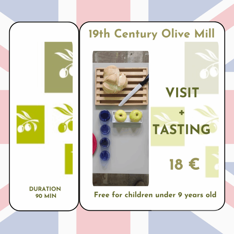 VISIT GUIDED AND TASTING ALMAZARA OLEOTOURIMO GARCIA MORON