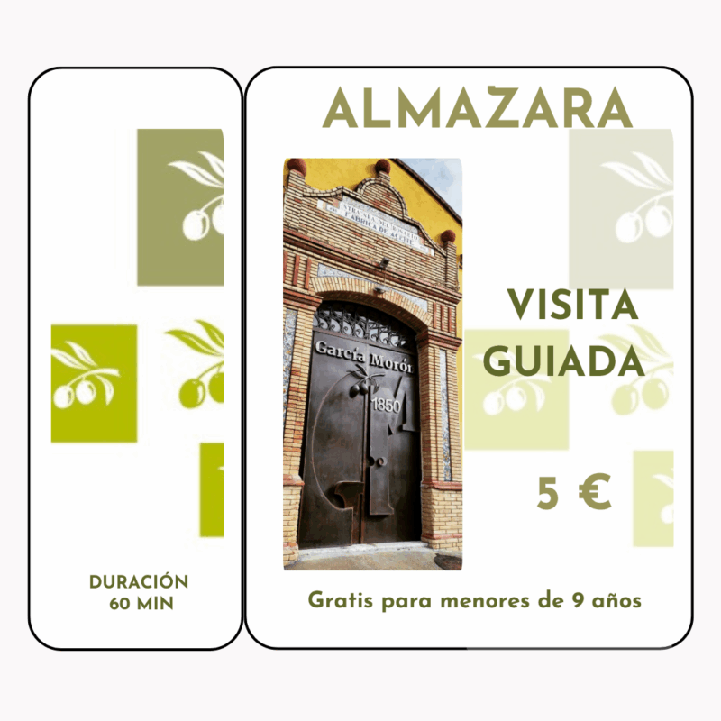 VISTA ALMAZARA ANTIGUA OLEOTOURIMO GARCIA MORON