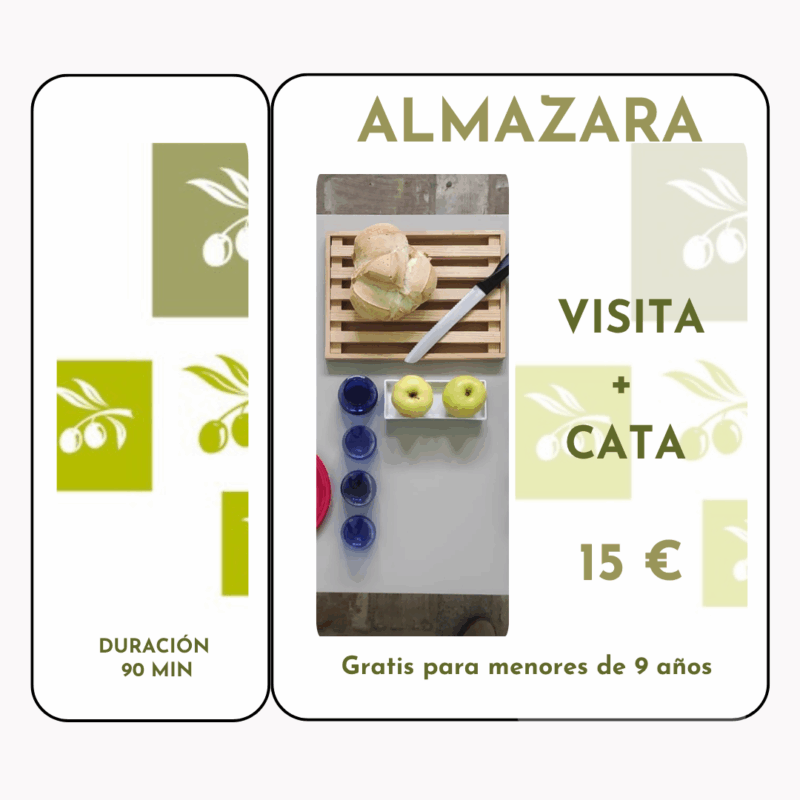 VISTA ALMAZARA ANTIGUA CON CATA OLEOTOURIMO GARCIA MORON