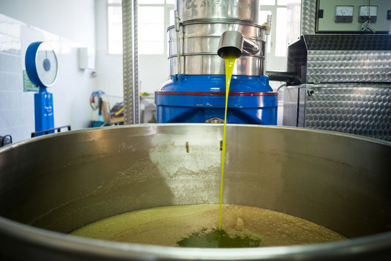 Decantar el aceite para elaborar aceite de oliva